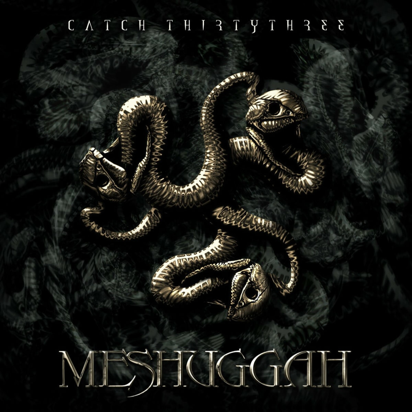 Meshuggah - 2005 - Catch Thirtythree episode artwork