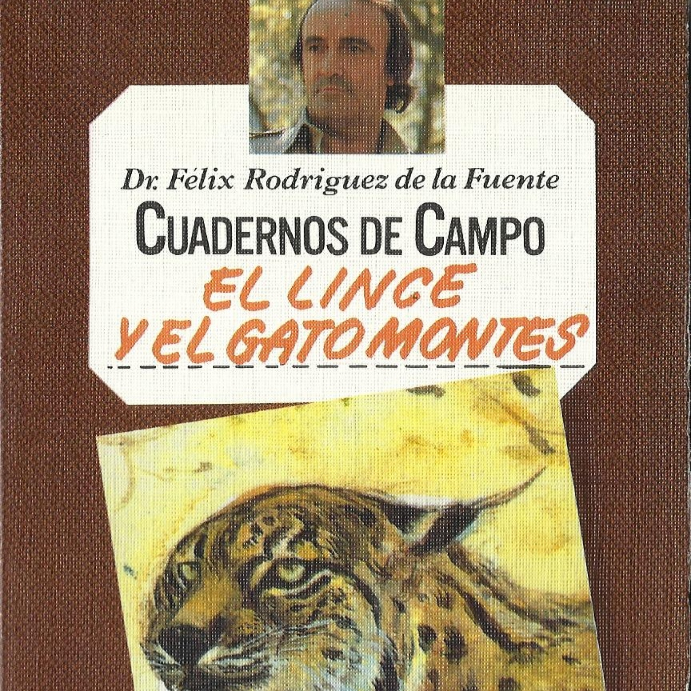 71º Programa de La Voz del Glayo episode artwork