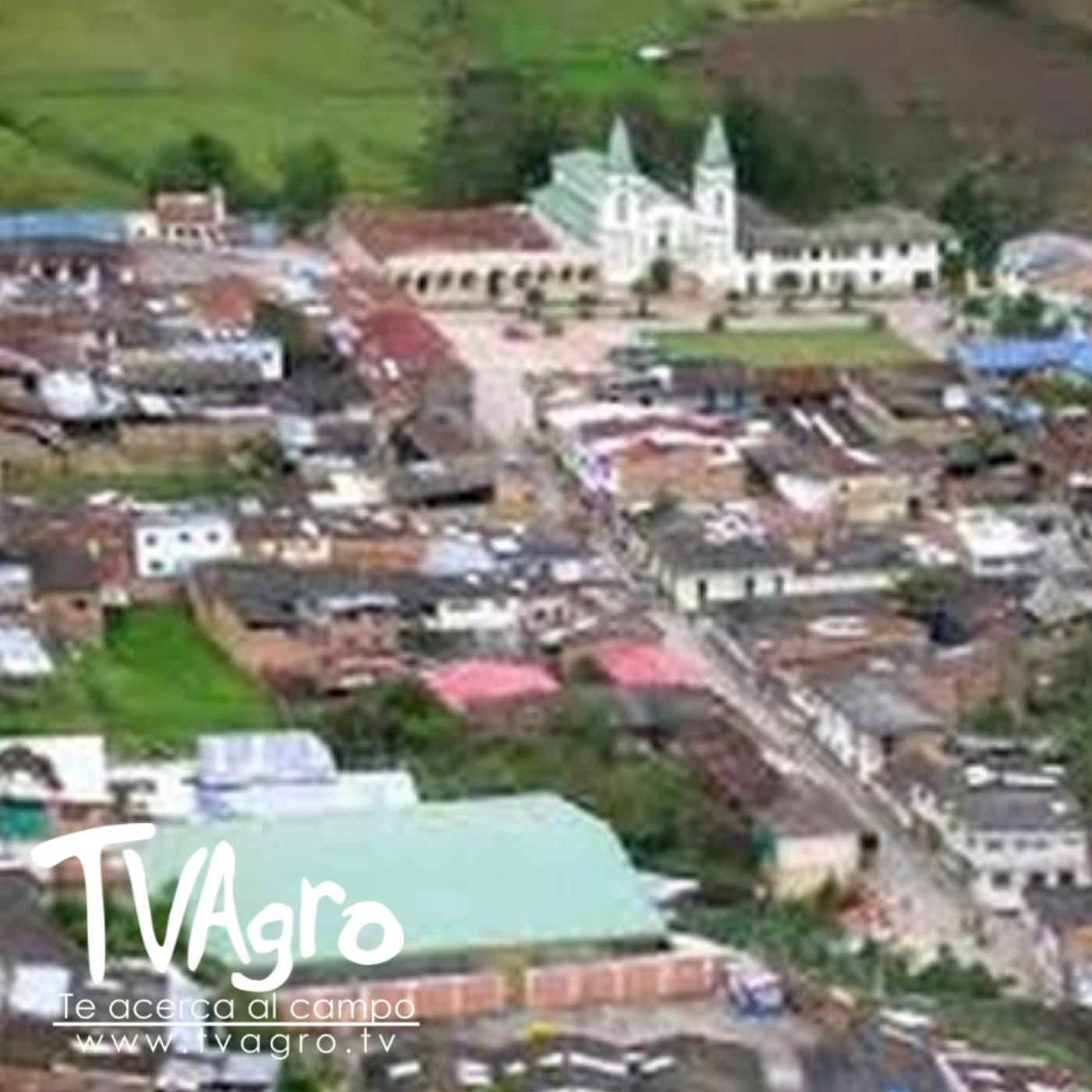 TV AGRO