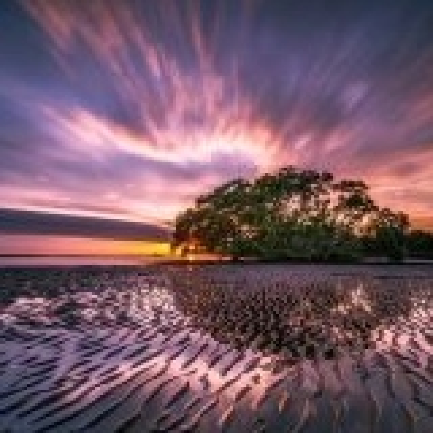 Amanece entre penumbras