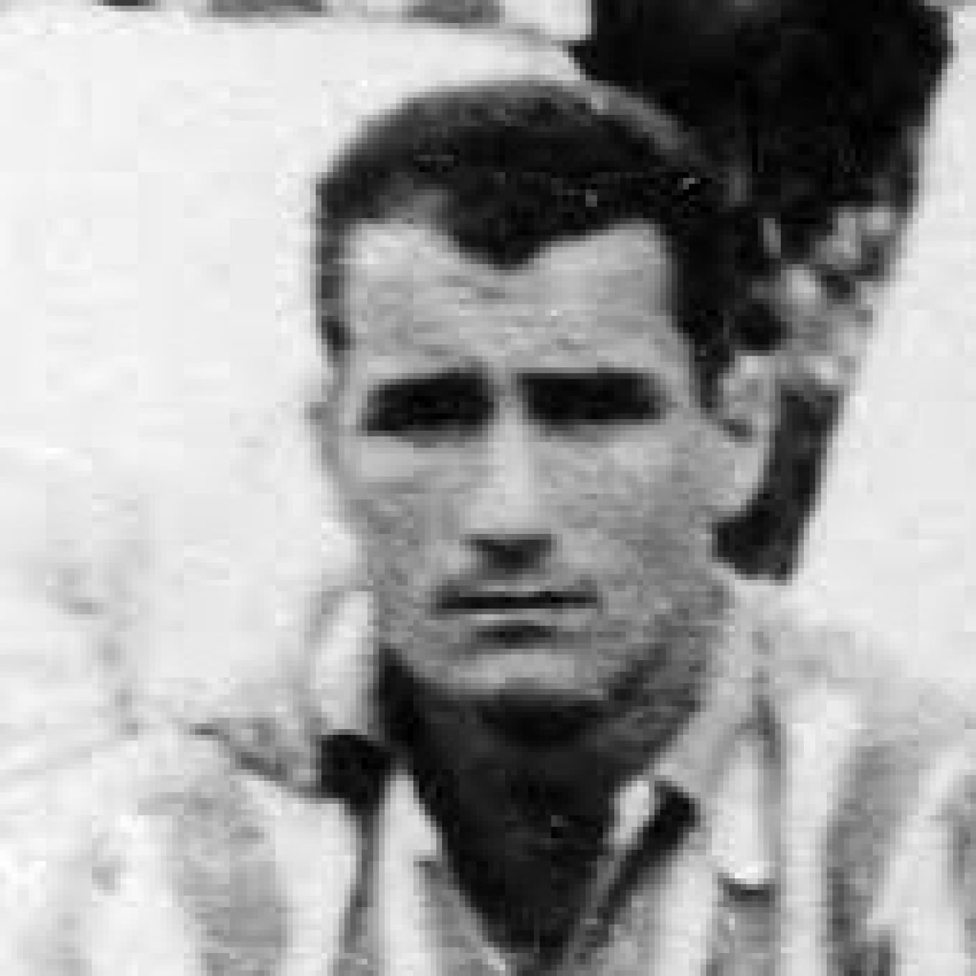 Corazón Txuri Urdin