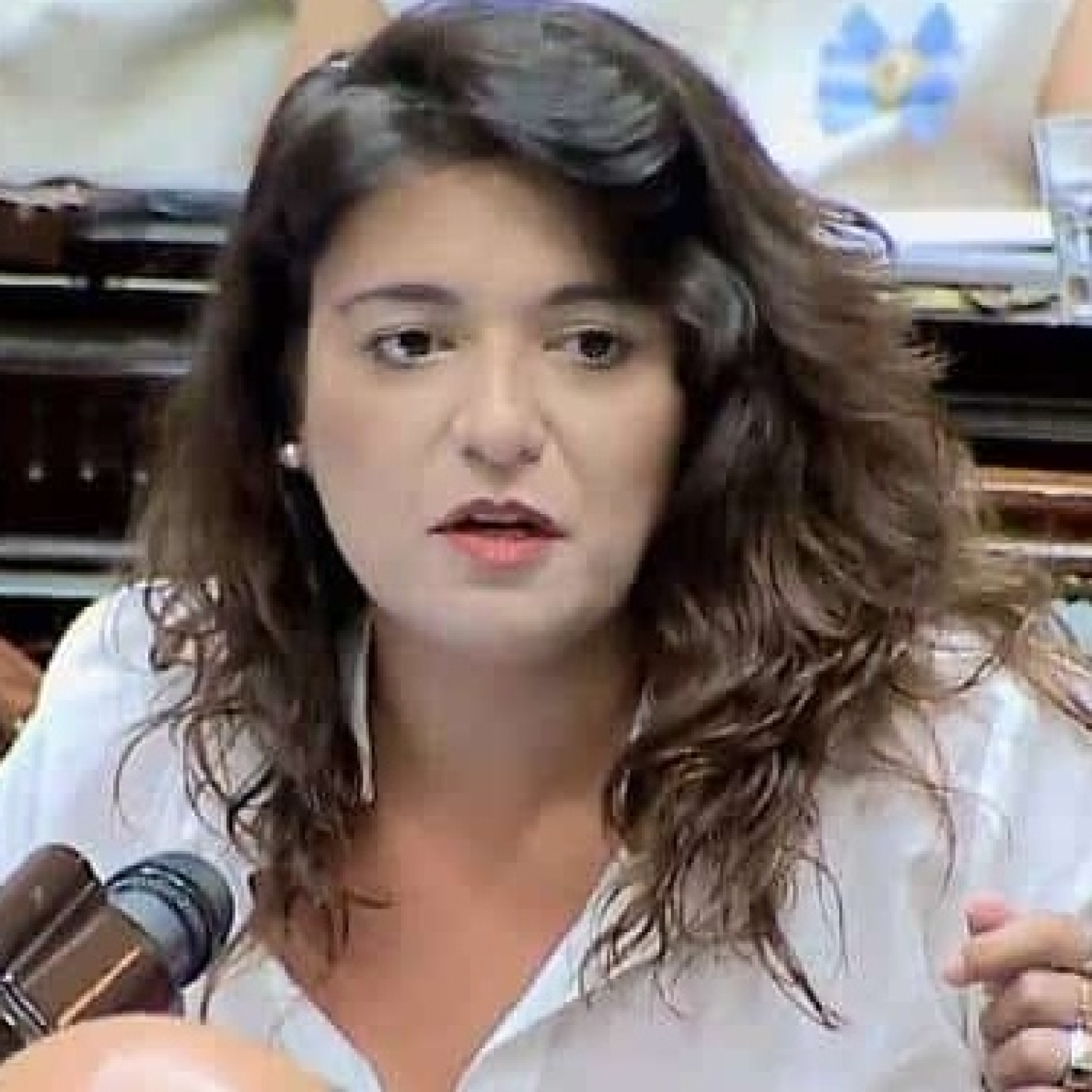 Sabrina Selva, diputada nacional (UxP - Fte. Renovador) @SabriSelva @rosca_casta 18-3-2025