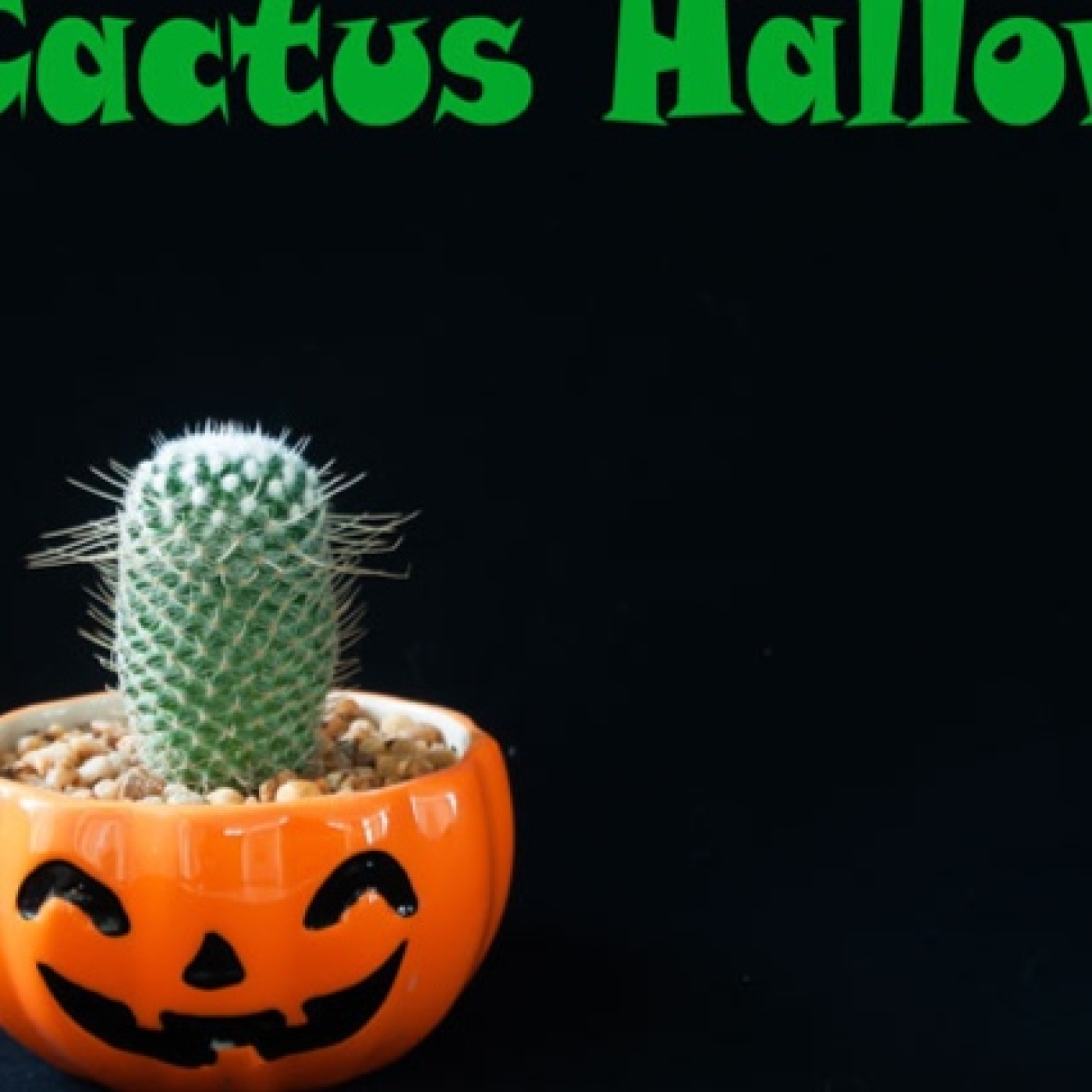 El Cactus