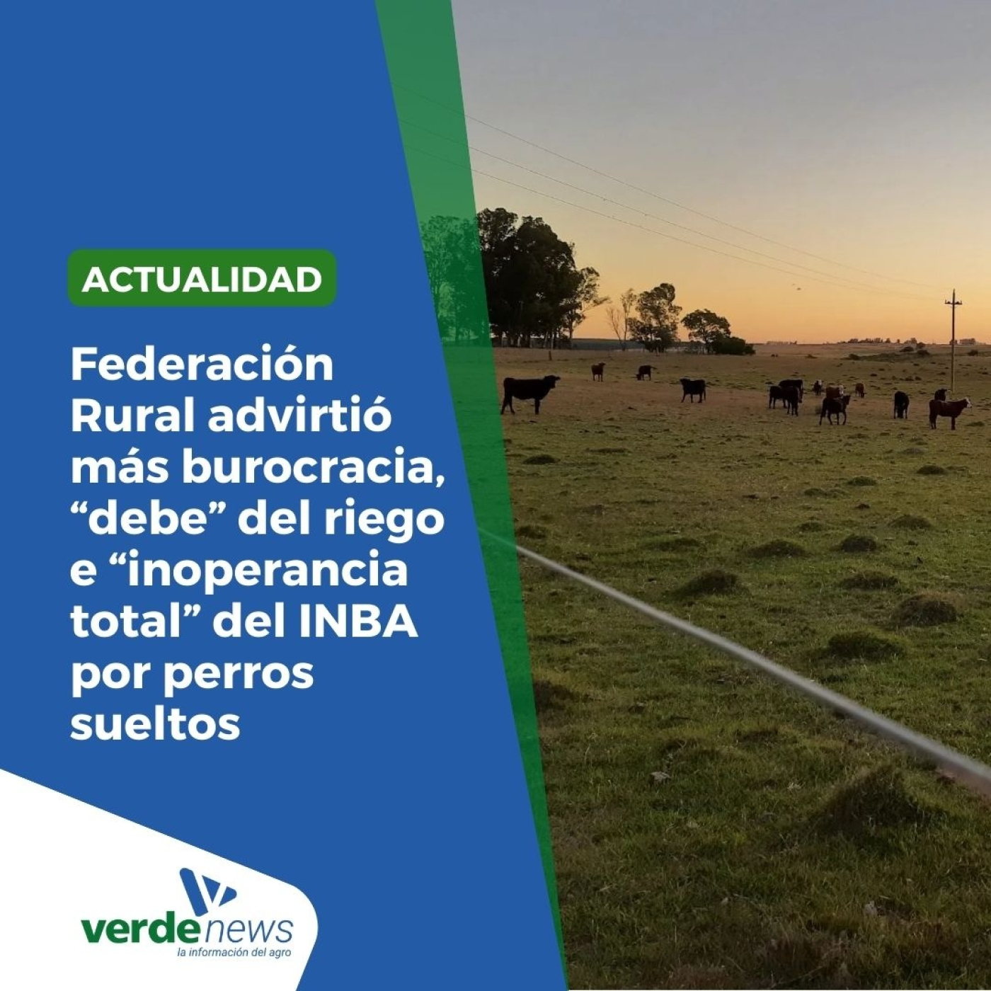 Rafael Normey - vicepresidente de la Federación Rural del Uruguay- 30/10/24 episode artwork