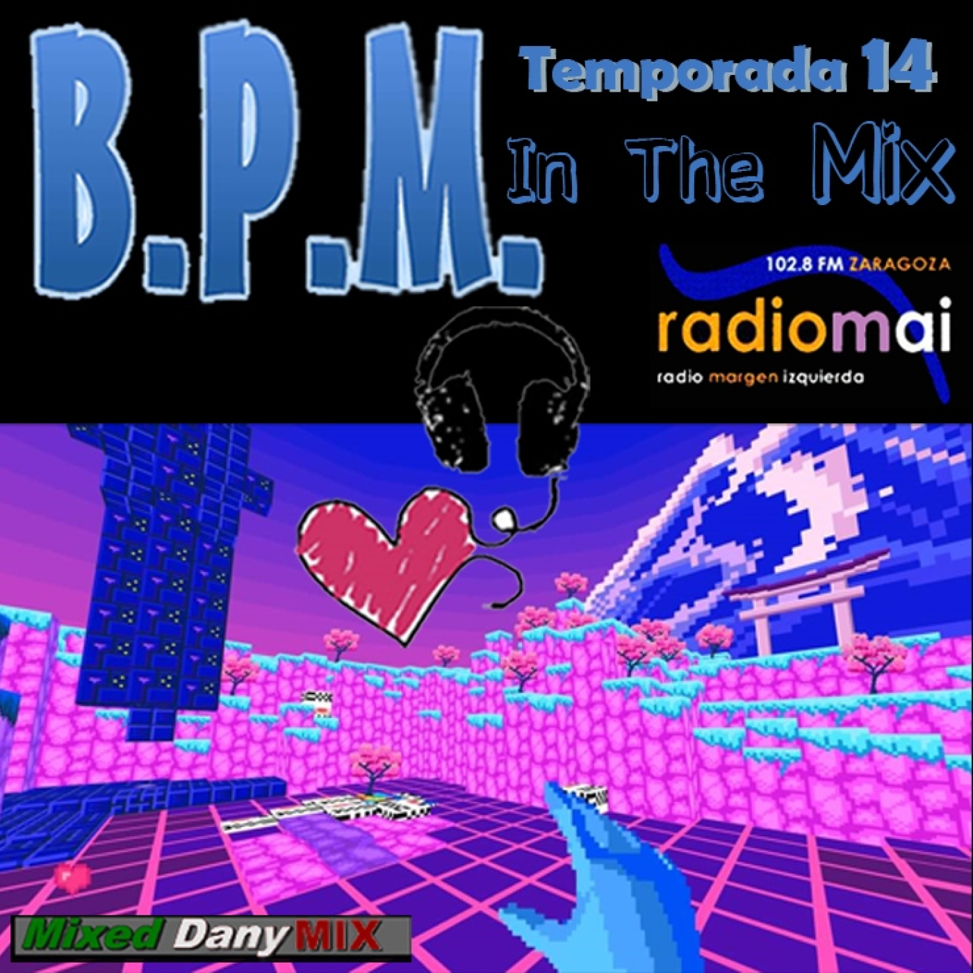 BPM Radio Project