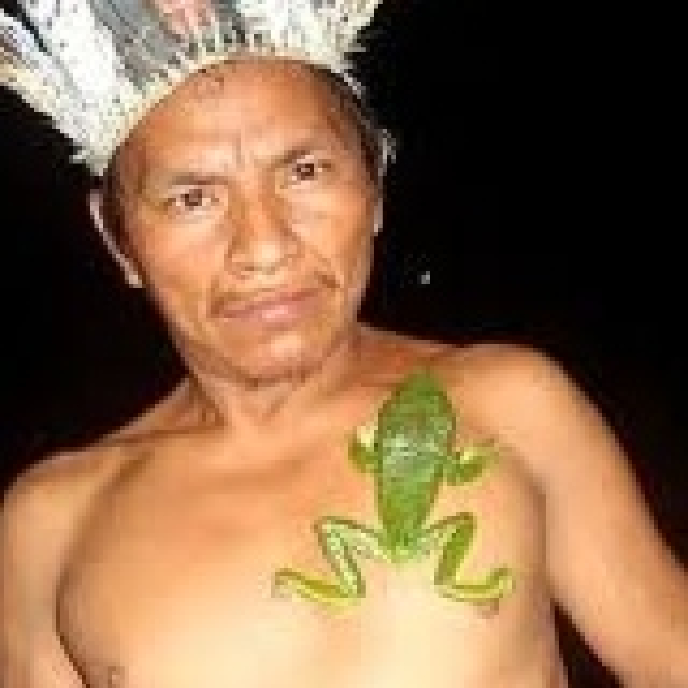 Luces en la oscuridad