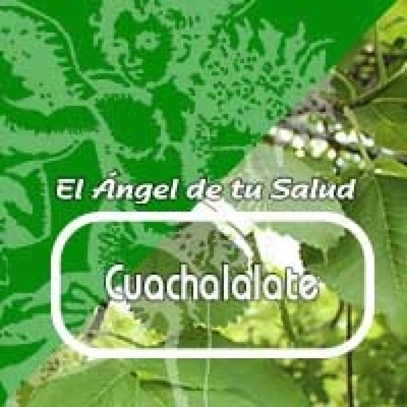 El Ángel de tu Salud - CUACHALALATE*** episode artwork