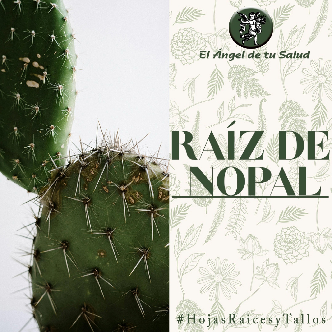 El Ángel de tu Salud - Raíz de Nopal** episode artwork
