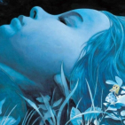 embed image
