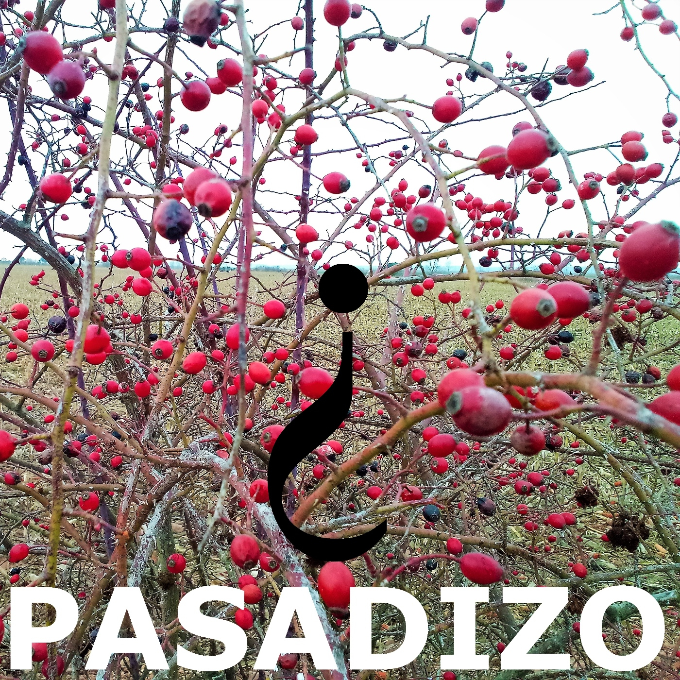 PASADIZO