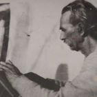 embed image