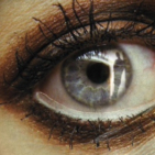 embed image