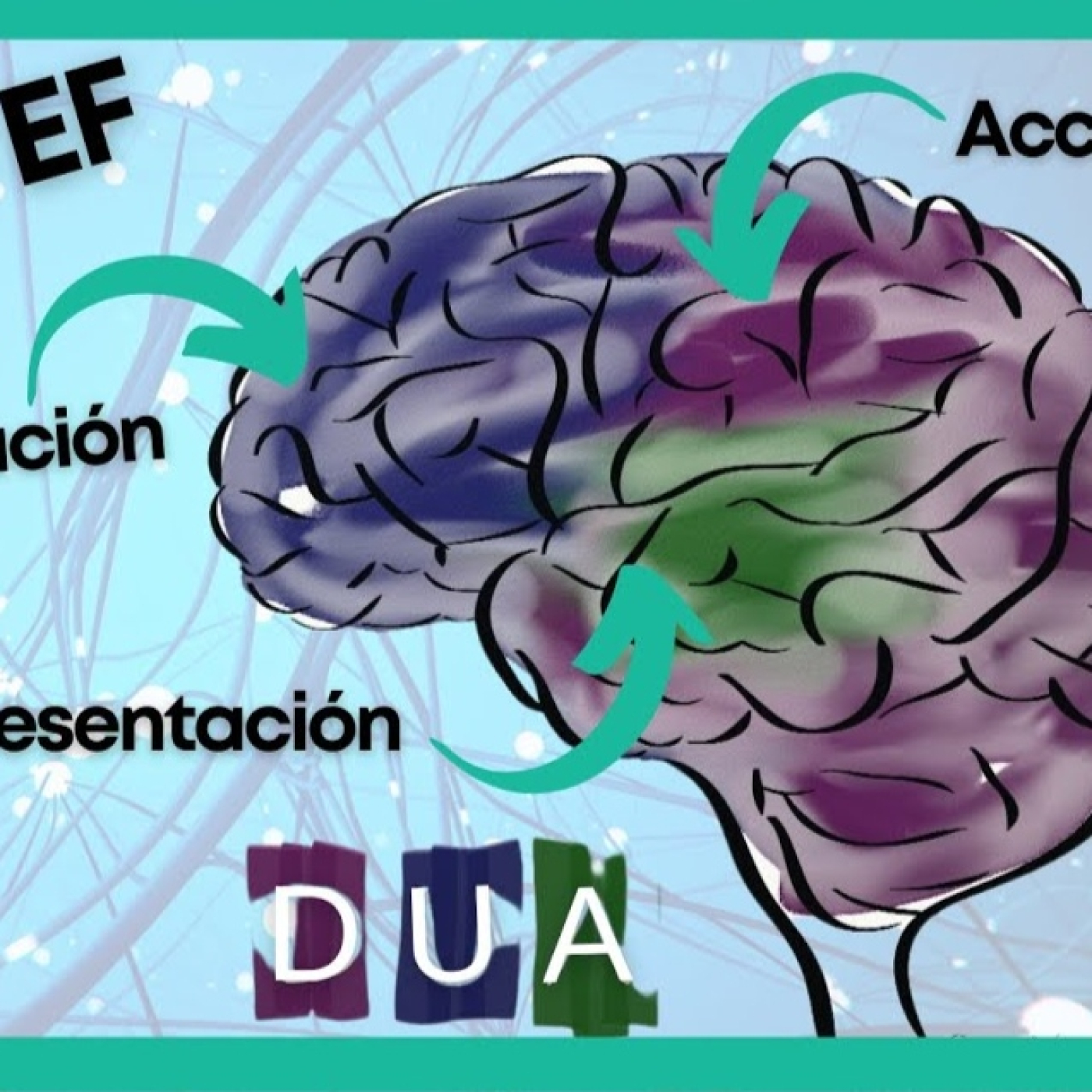  El DUA: los 3 Principios para [Educación Física] | Ejemplos Prácticos episode artwork
