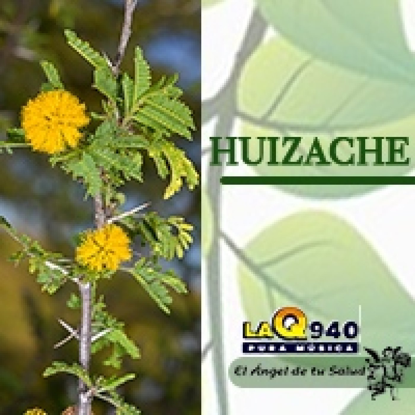 El Ángel de tu Salud - Huizache** episode artwork