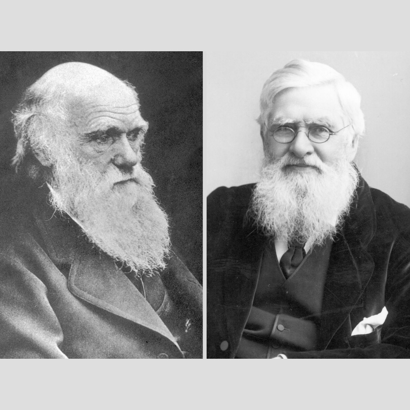 Aparici en Órbita s05e16: Darwin y Wallace, la evolución a cuatro manos, con Juli Peretó