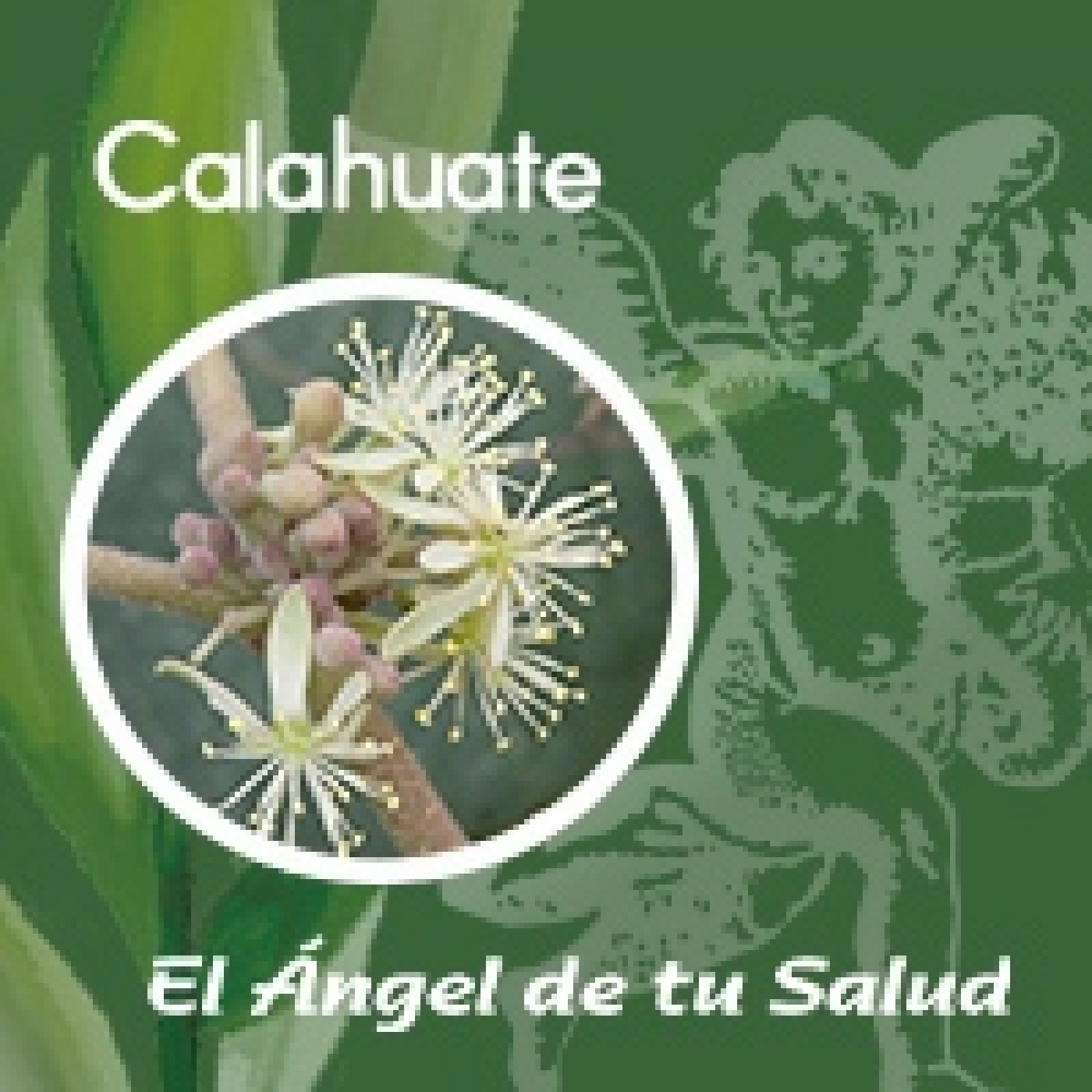 El Ángel de tu Salud - Calahuate** episode artwork
