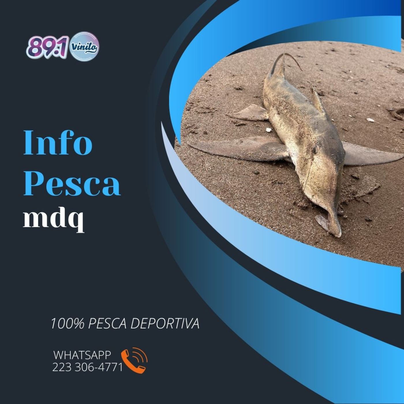 INFOPESCA MDQ