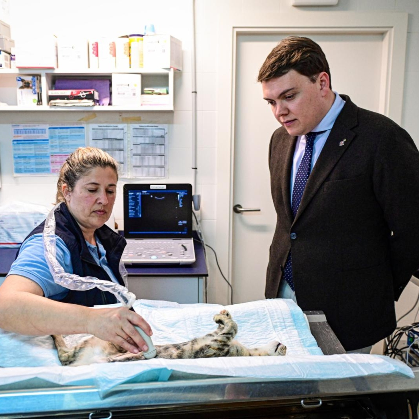 fc90d64ef0cd5dee5cd8ba3de92d05ad XXL esRadio Baleares