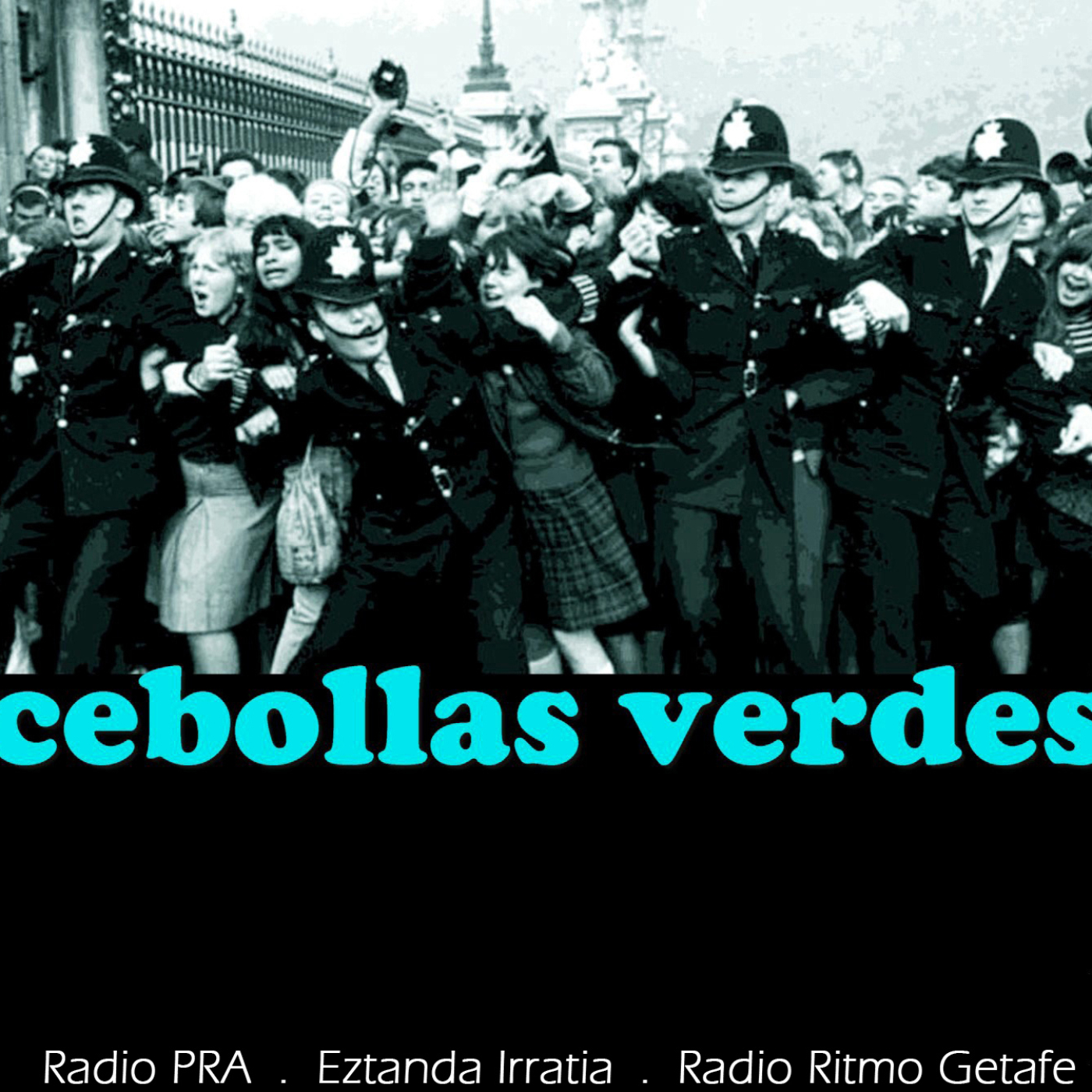 Cebollas Verdes