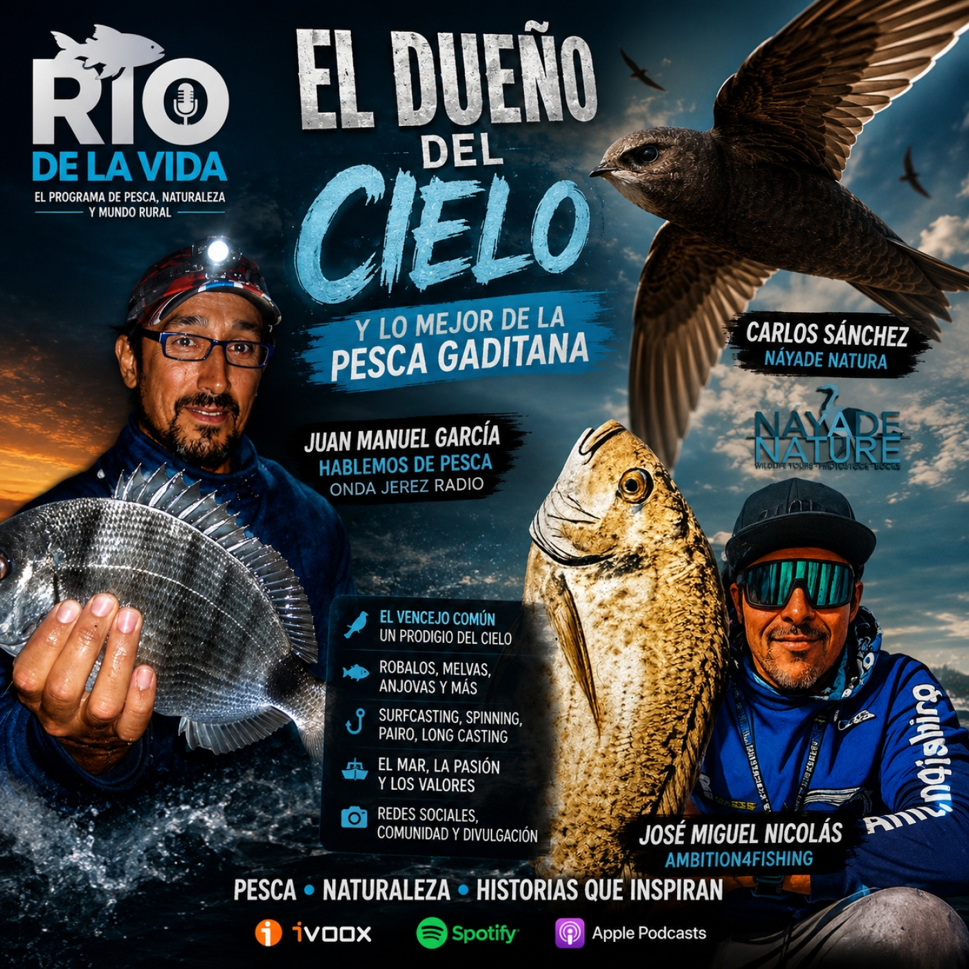 El Vencejo Común con Nayade Natura, Surfcasting desde Cadiz con Hablemos de pesca y Ambito4Fishing. Podcast Pesca España episode artwork