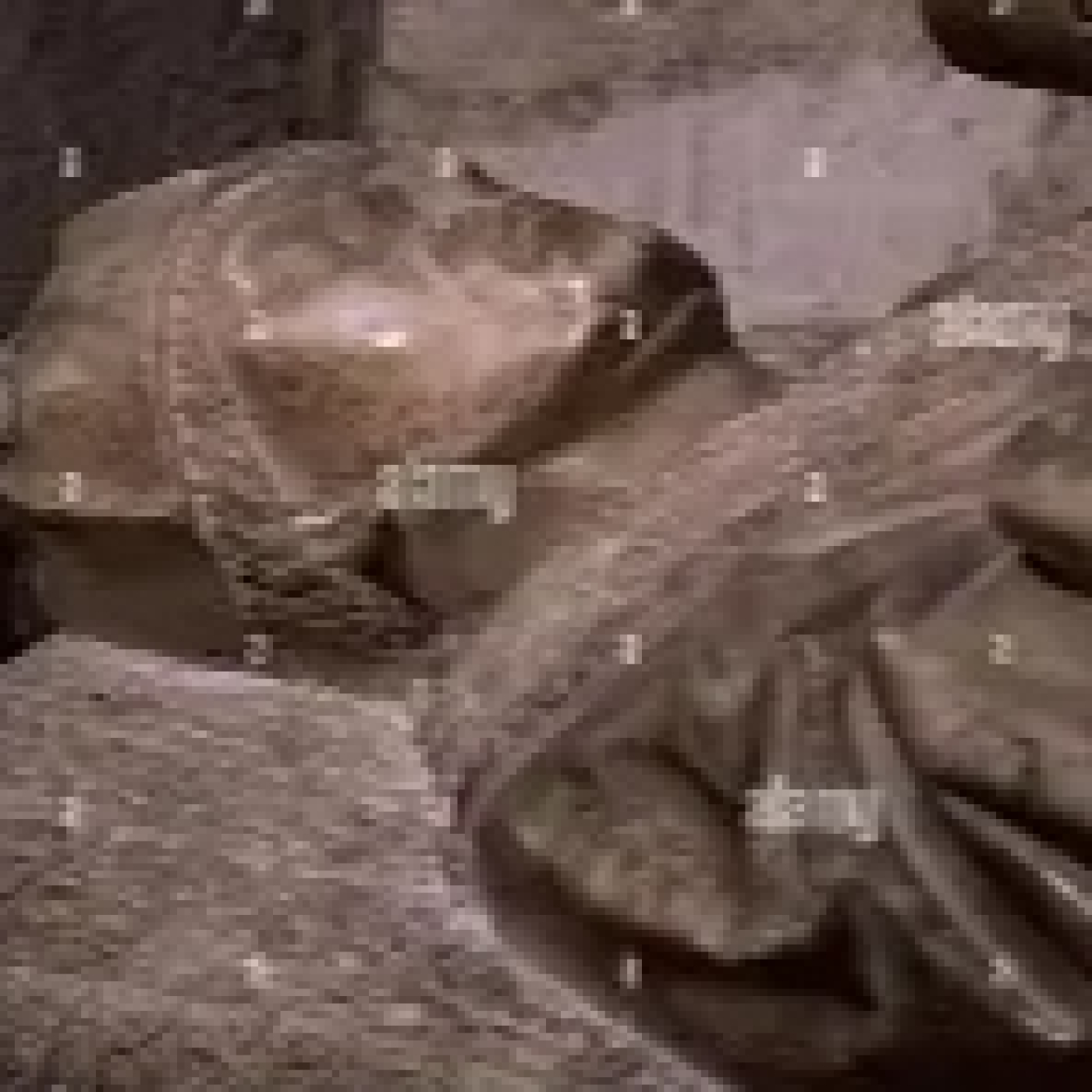 Juan de Grado El Clérigo Terrenal que Desafió a Reyes y Císter en la Zamora del siglo XV episode artwork