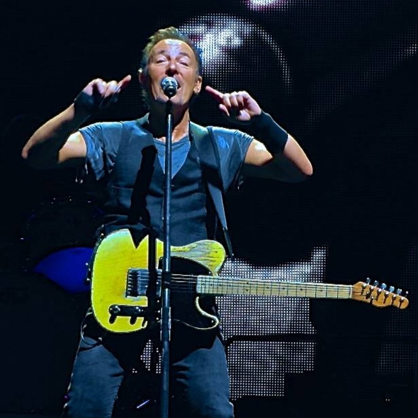 Els Fans de Bruce Springsteen