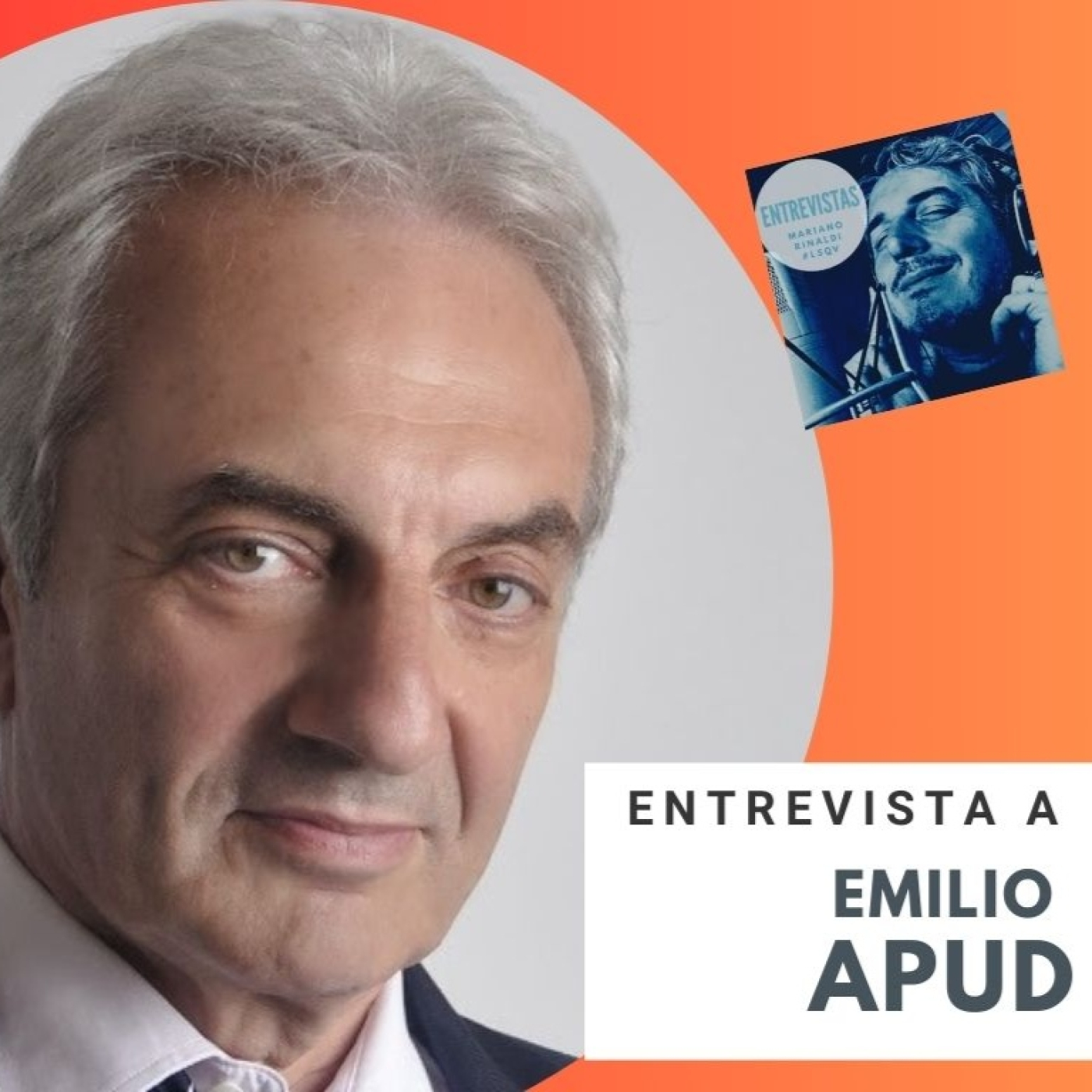 "Milei se encontrará con los resultados de una gestión que está en el límite de lo legal" dice Emilio Apud.