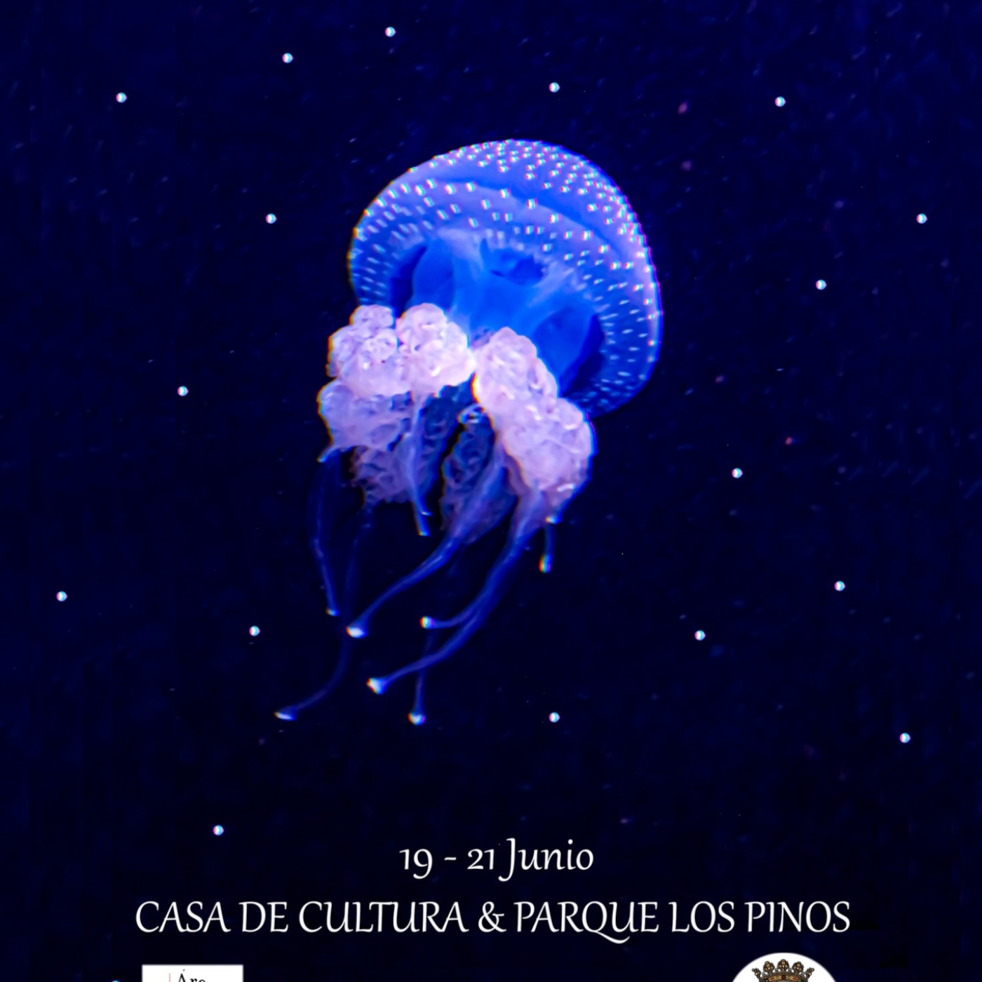 20.06.2025 Agenda Fin de semana Feria del libro episode artwork