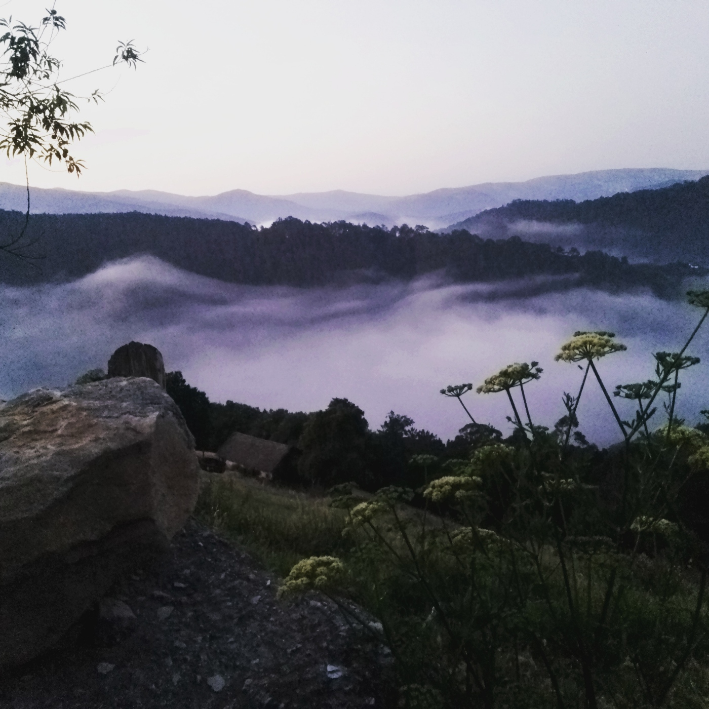 Noches En la Hoguera