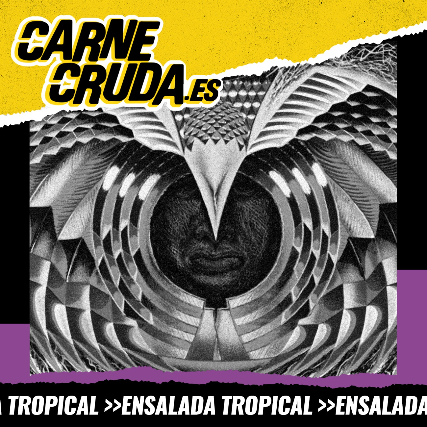 Carne Cruda - PROGRAMAS