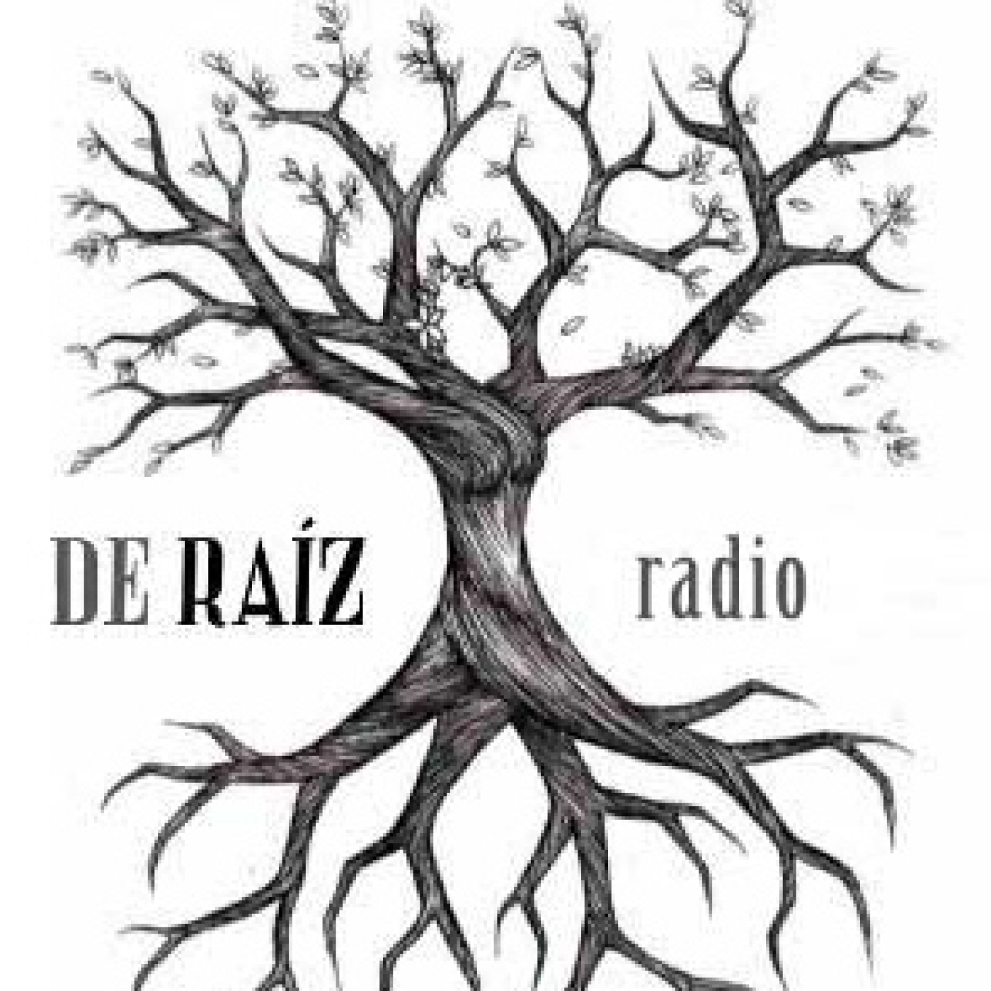 De Raíz Radio