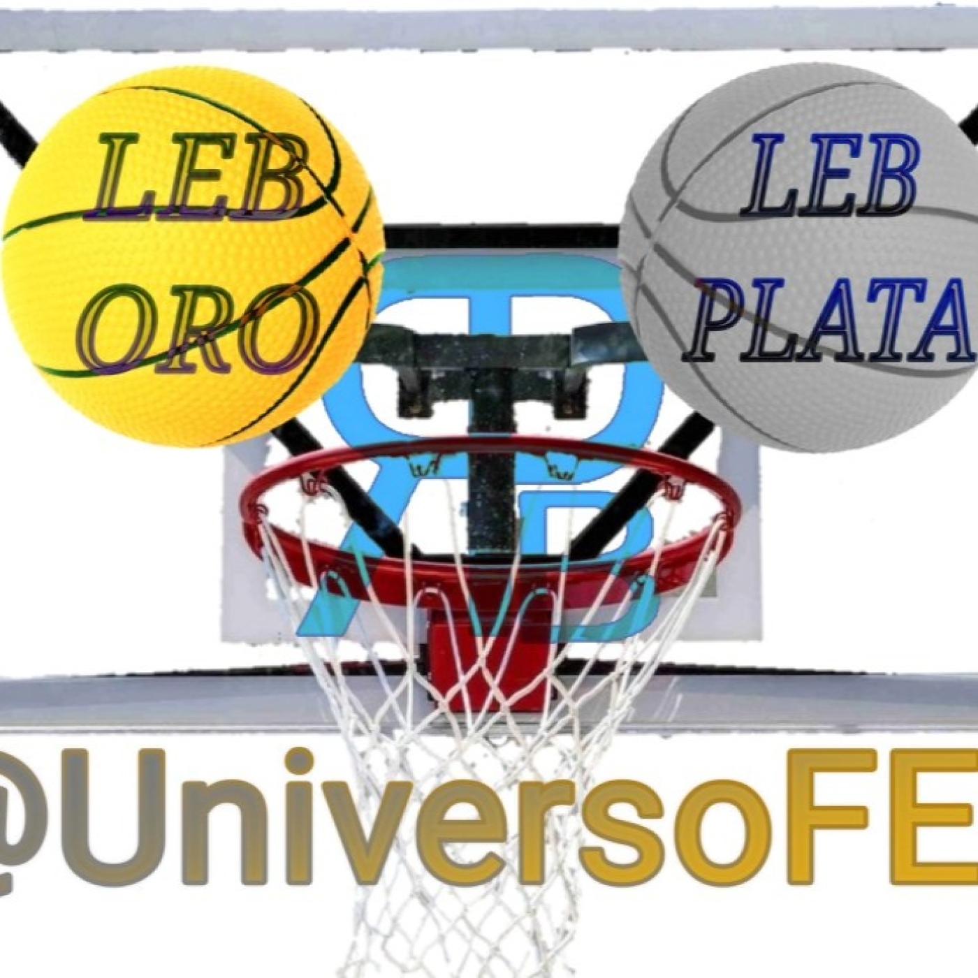 Pasión Por El Baloncesto