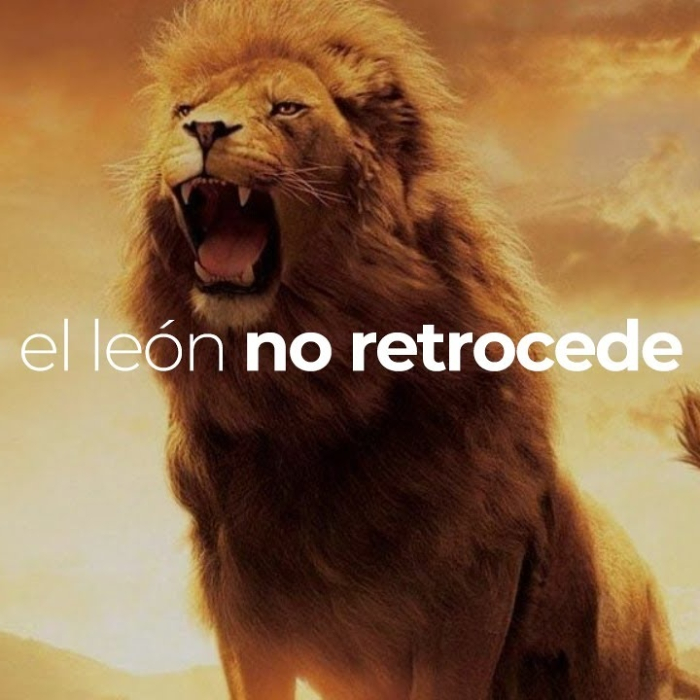 Reunión General