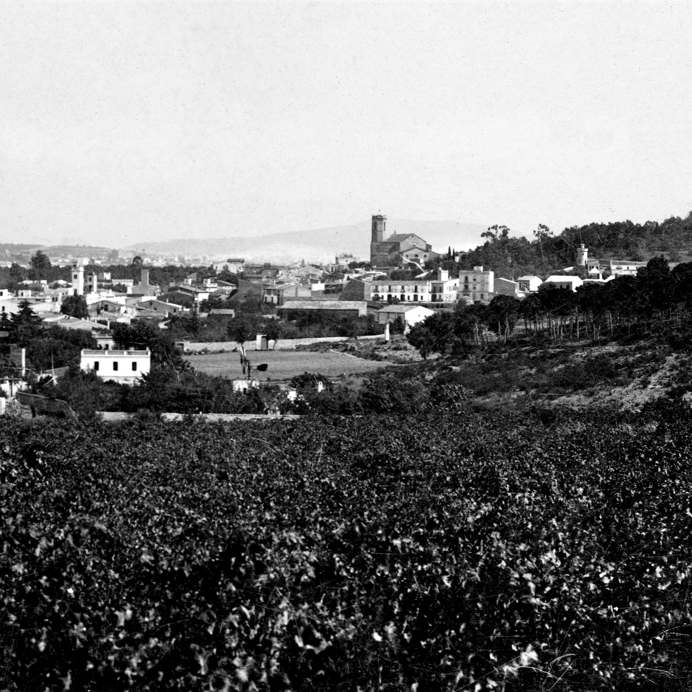 2025-07-10 MiP - 302 - La història del nostre paisatge