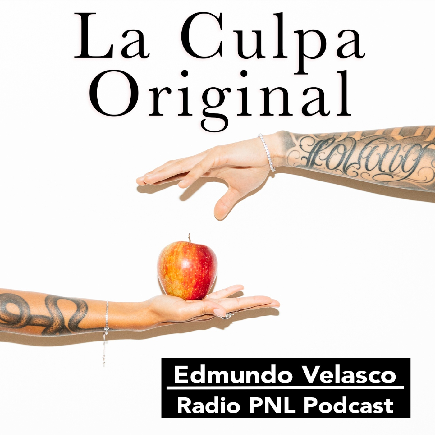 Edmundo Velasco en Directo