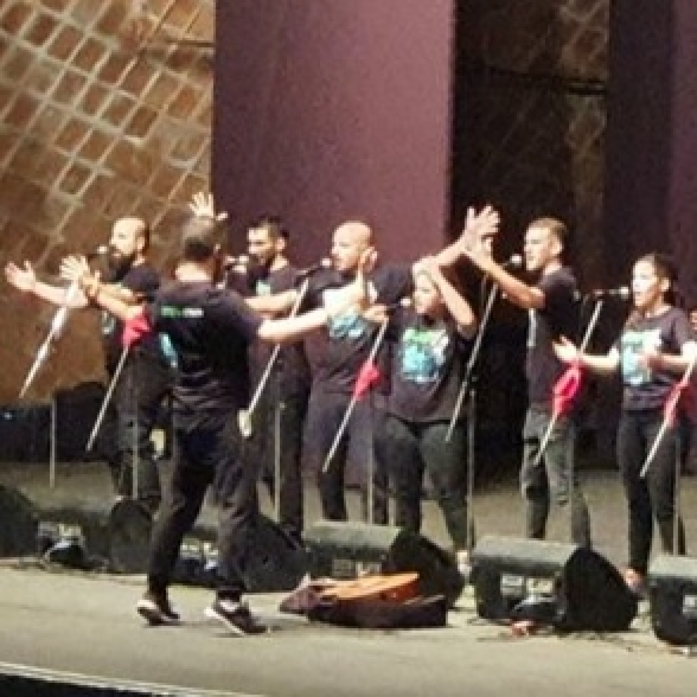 Colados al Camión