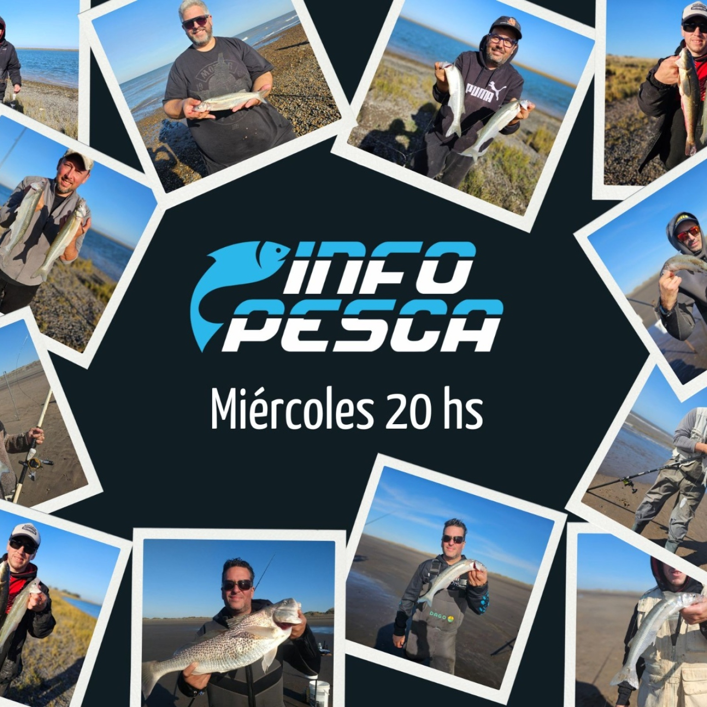 INFOPESCA MDQ