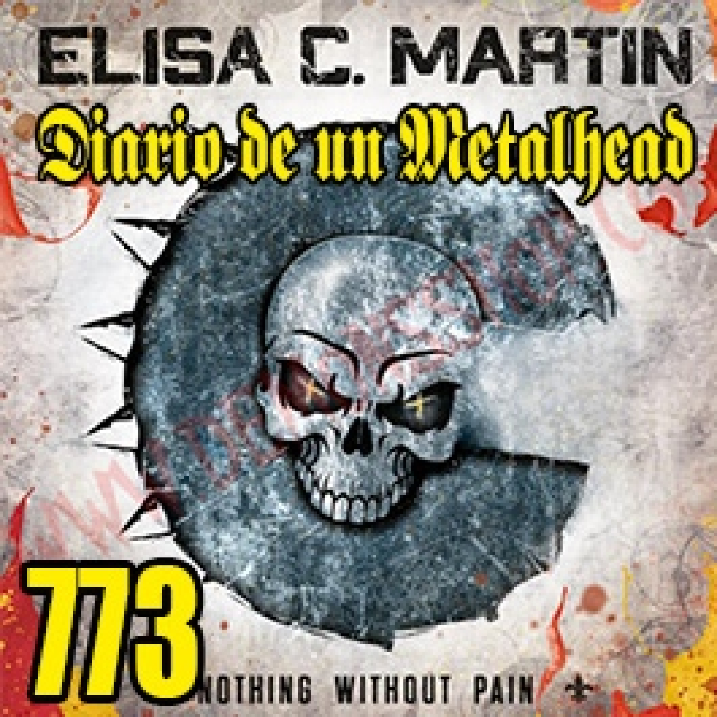 Diario de un Metalhead