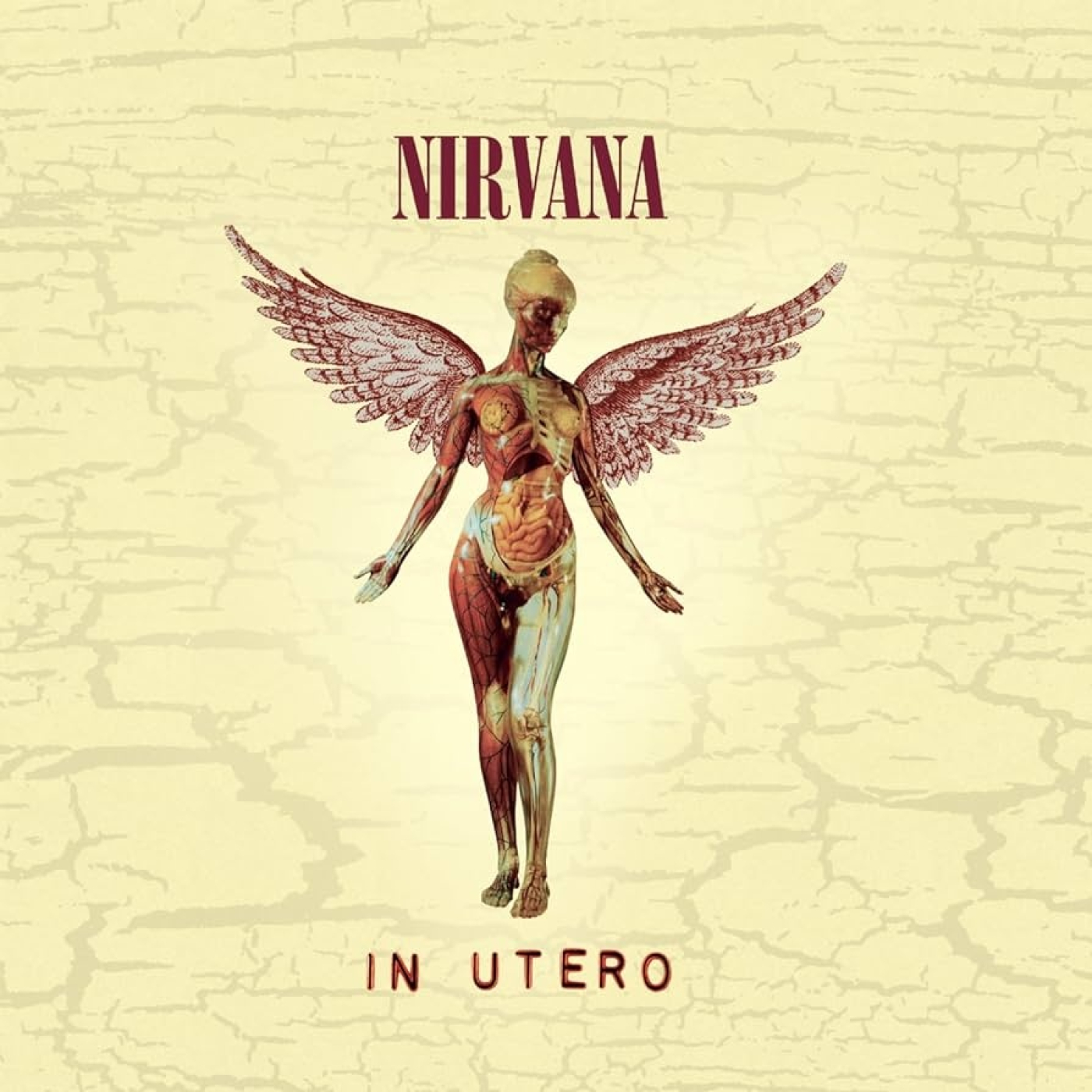 Radio TiR nº 201, 2024-05-03 Nirvana - In Utero episode artwork