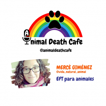 embed image
