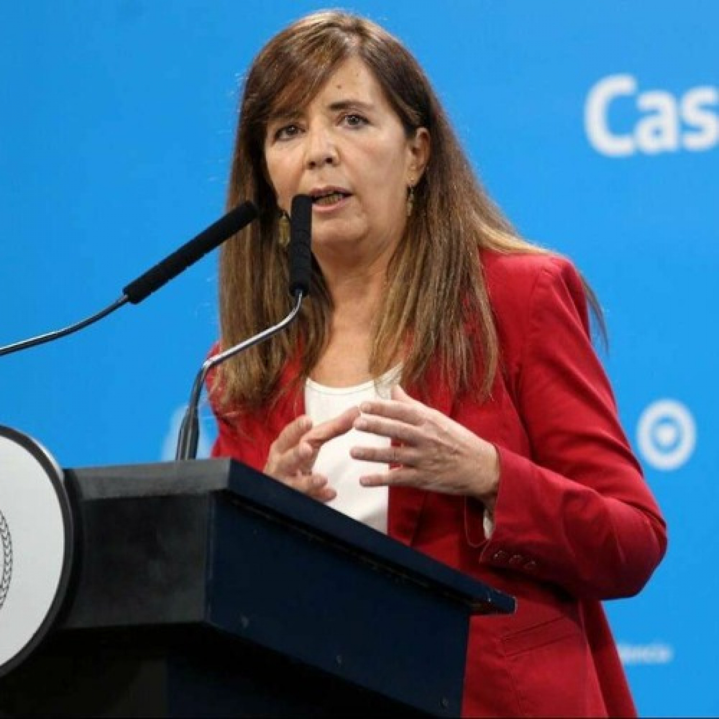 Cerruti: "El refuerzo de ingresos no es solo para indigentes, son conclusiones de los diarios" episode artwork