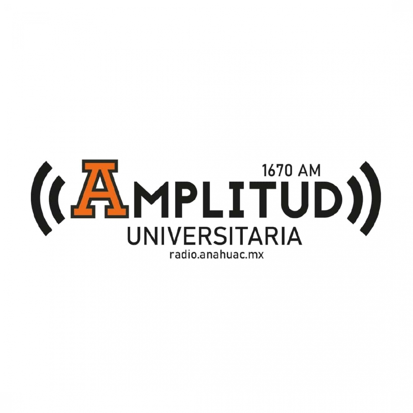 Amplitud Universitaria