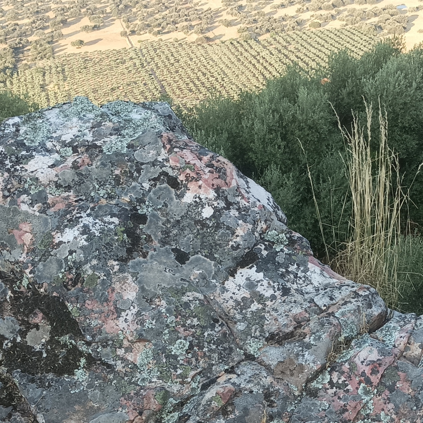 El reto de la verdad