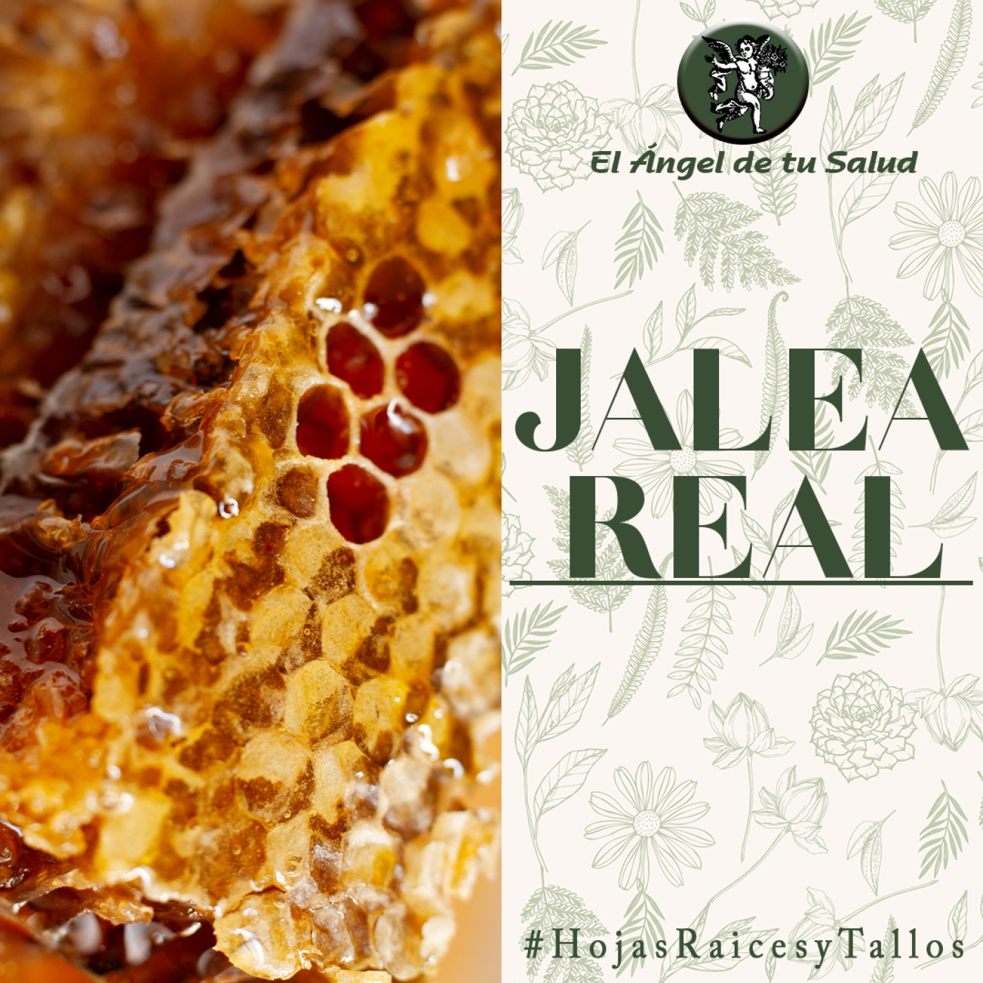 El Ángel de tu Salud - Jalea Real** episode artwork