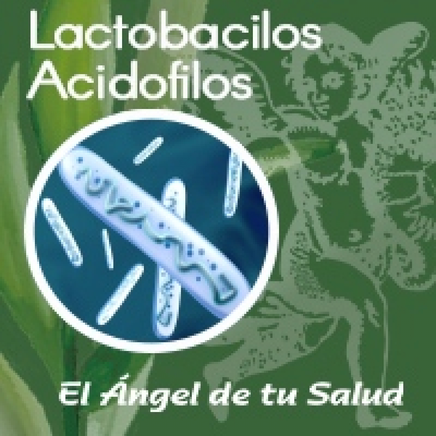 El Ángel de tu Salud - Lactobacilos Acidofilos** episode artwork