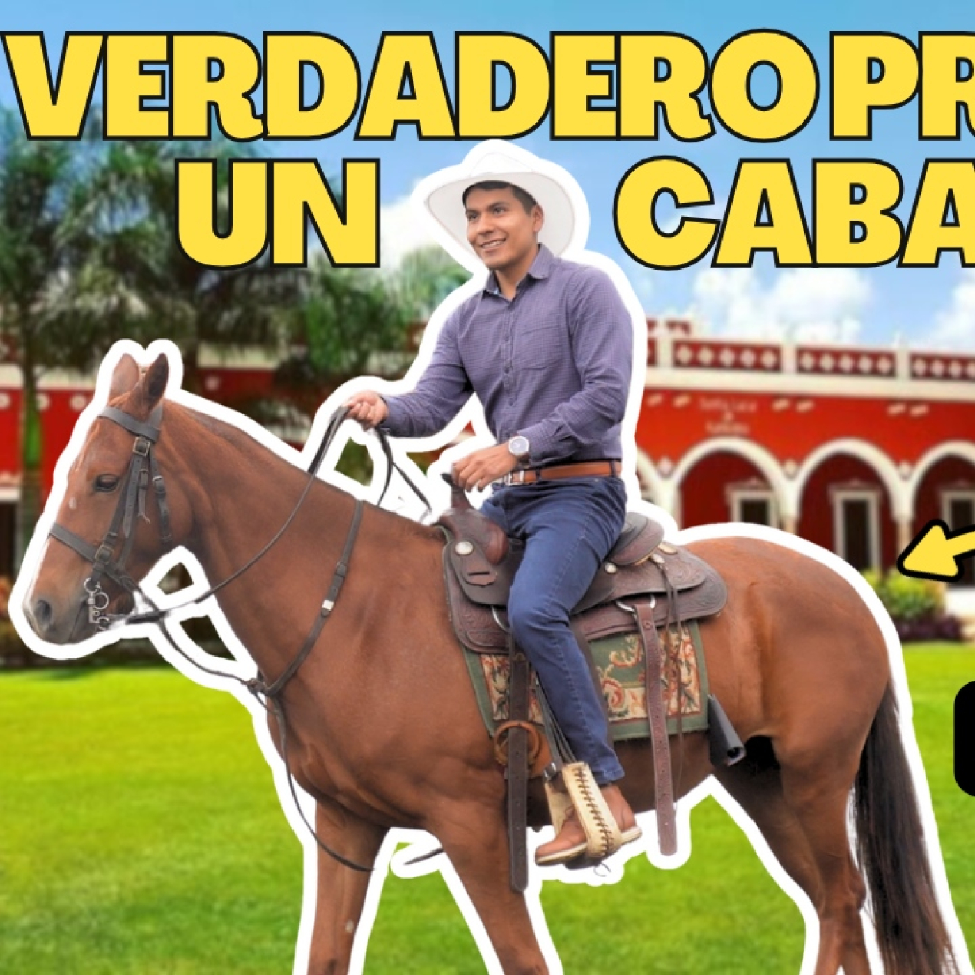 Mometos Exitosos