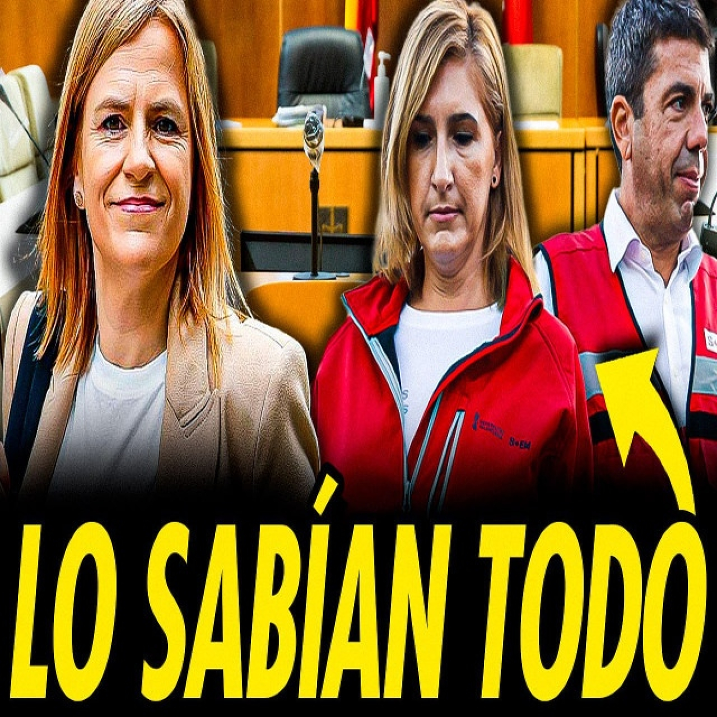 Pilar bernabé declara: salomé pradas y mazón sabían de los desaparecidos antes de la alarma