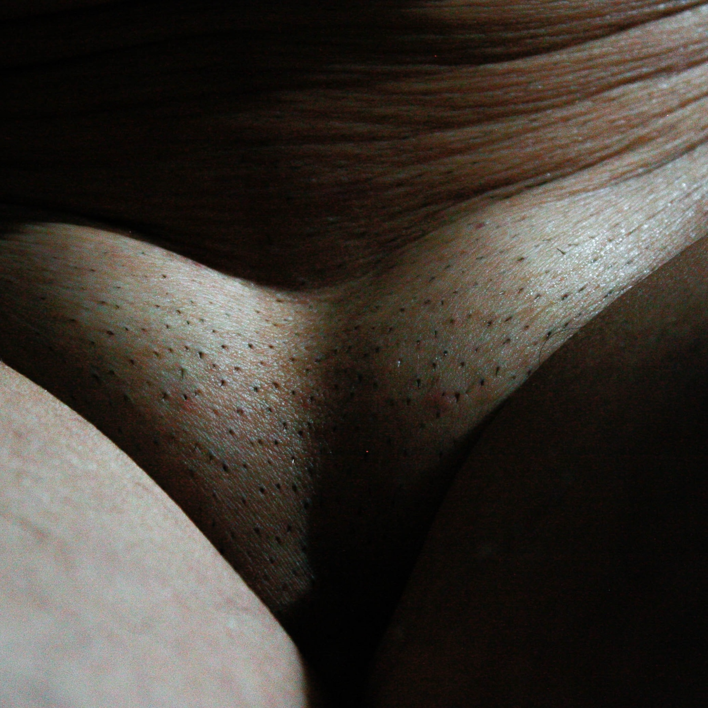 Relatos Eroticos del Gloton4you