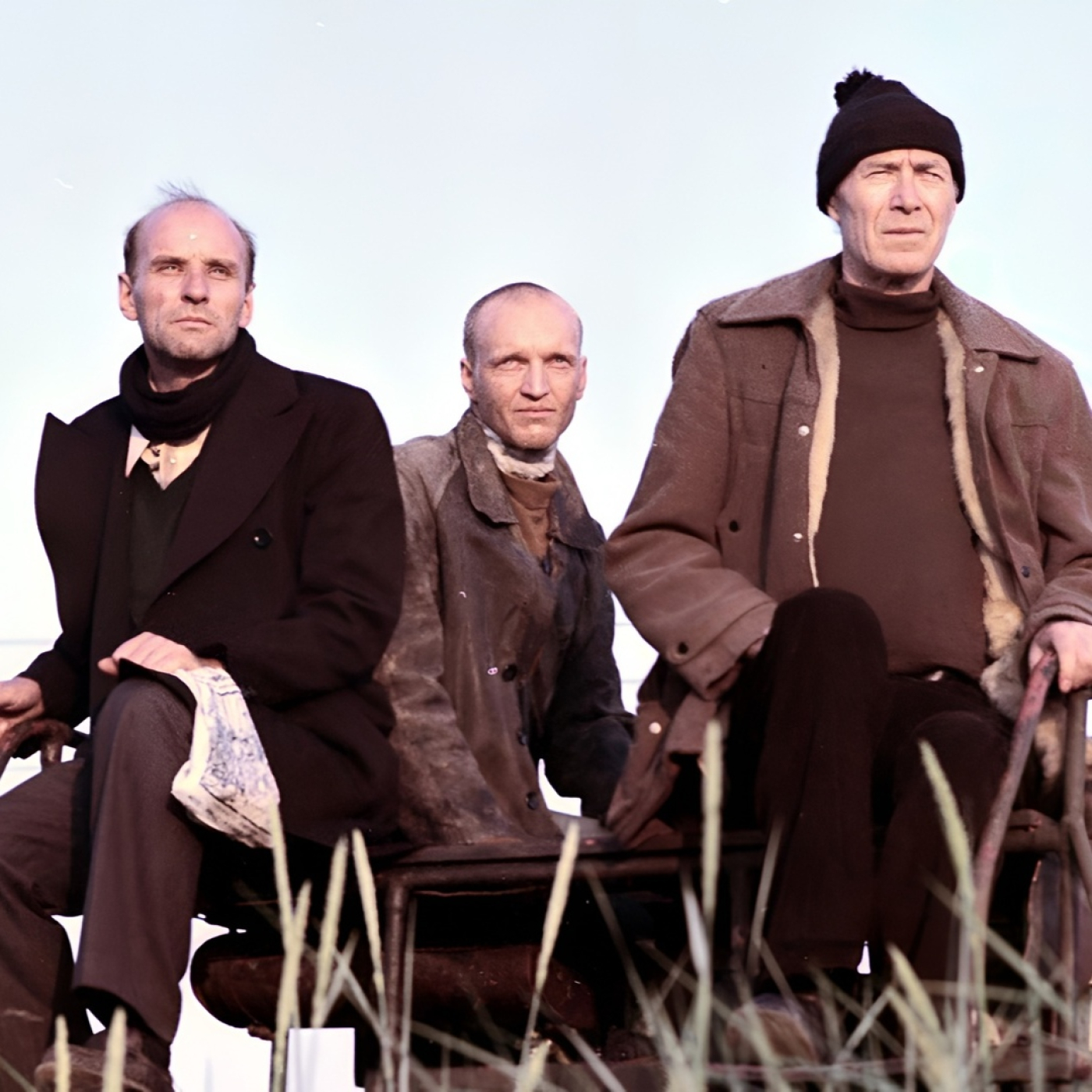 Cum Lingus Communicamus