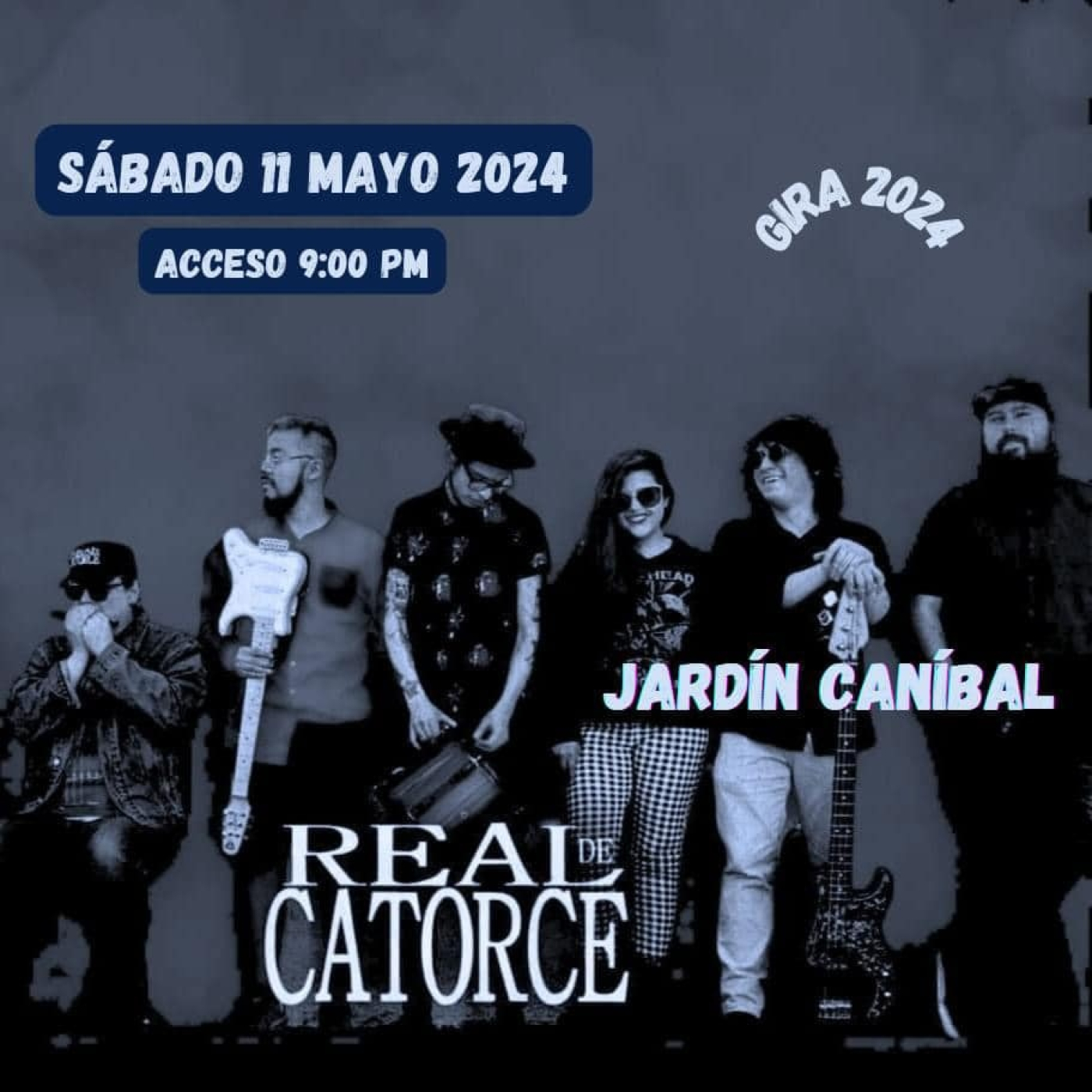 Furtivos